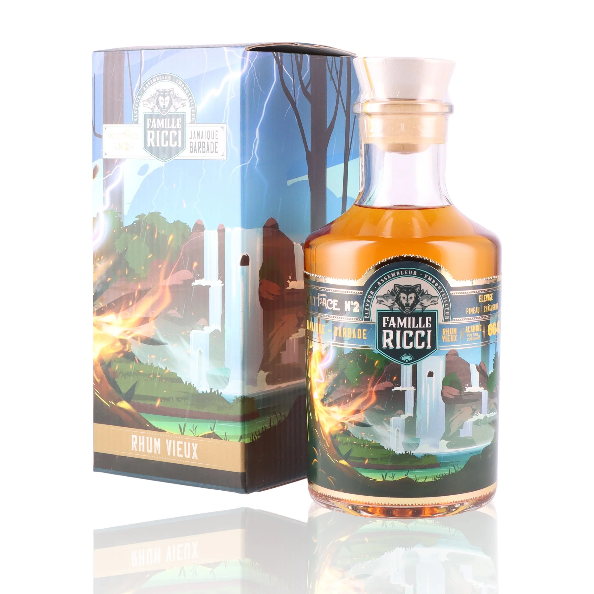 FAMILLE RICCI - Voltface N°2 - 66,4% - Image 3