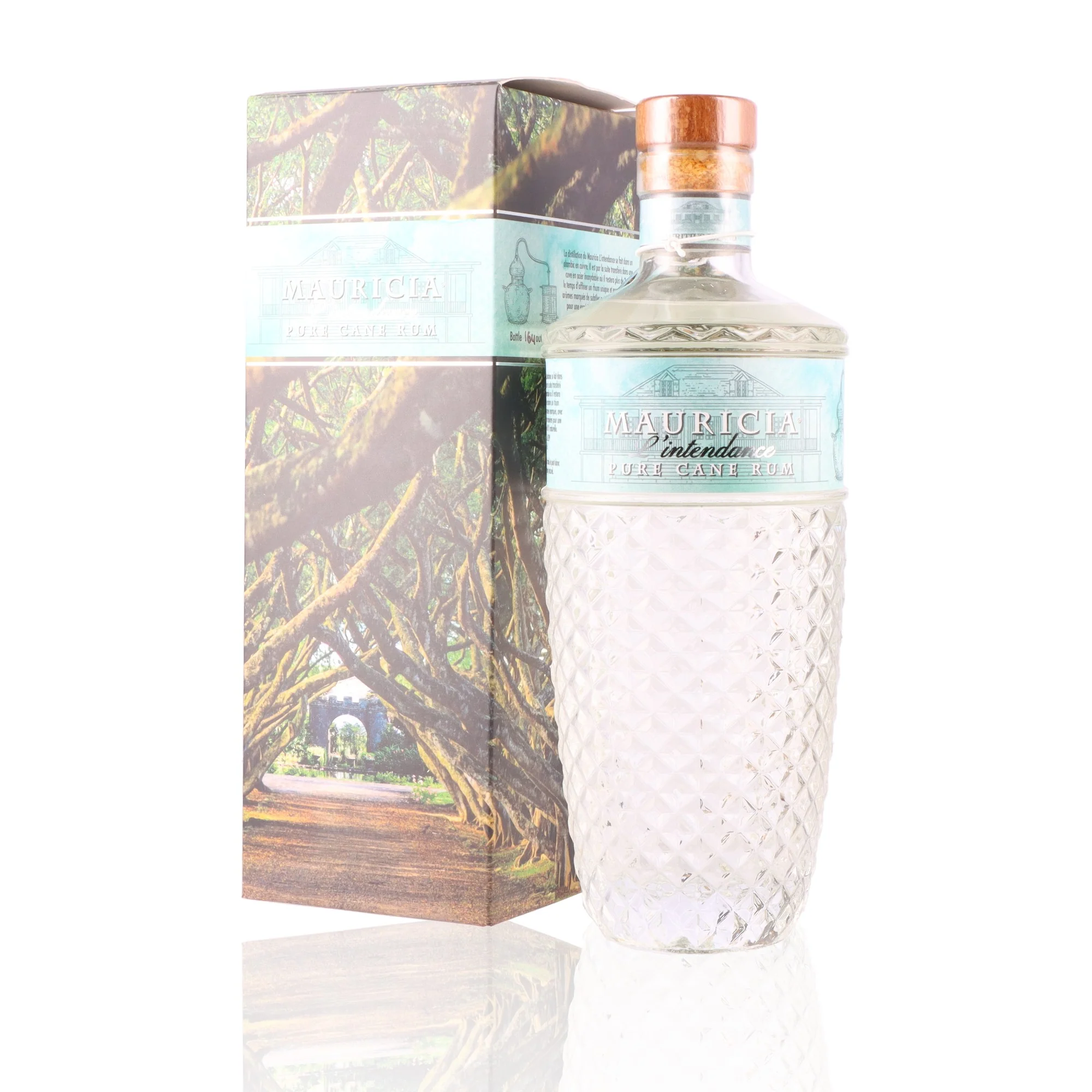 MAURICIA - L'Intendance - 60% - Image 3