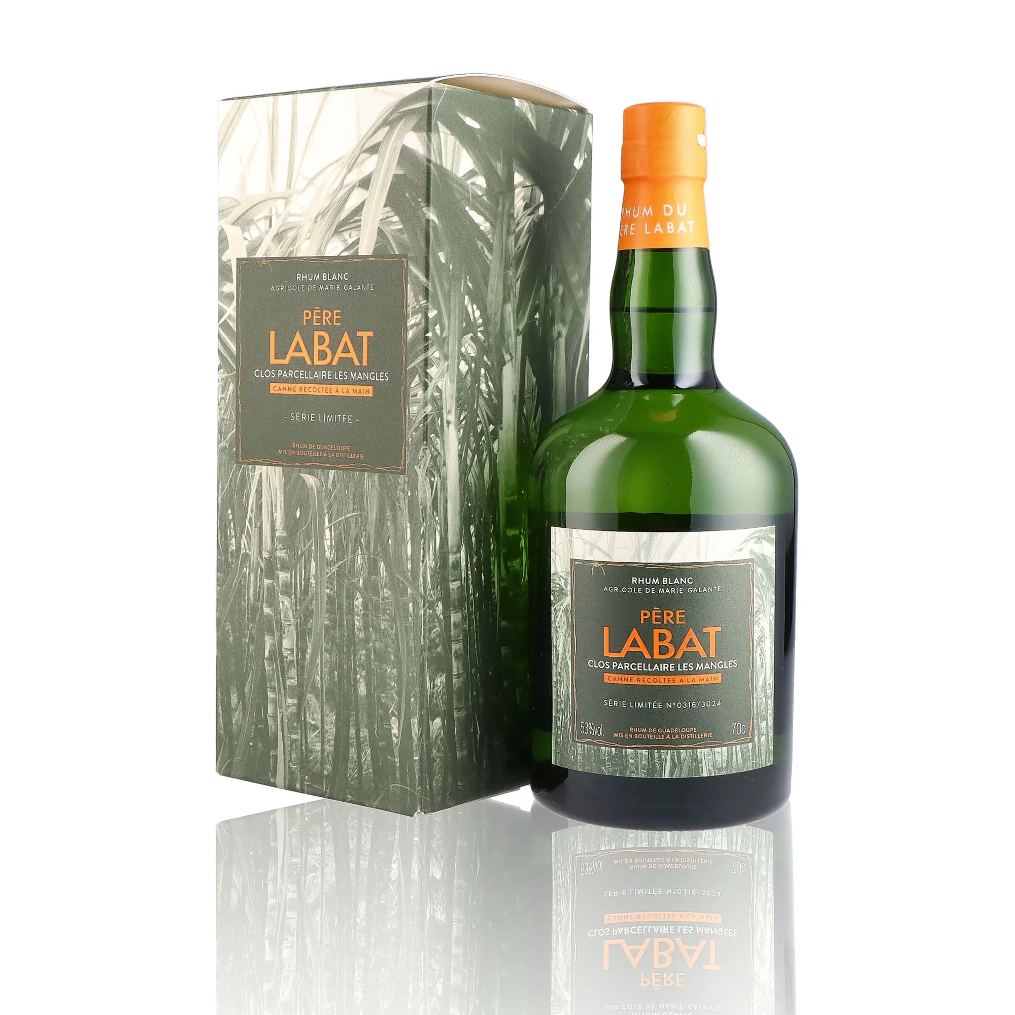 PERE LABAT - Parcellaire Les Mangles - 53% - Image 3