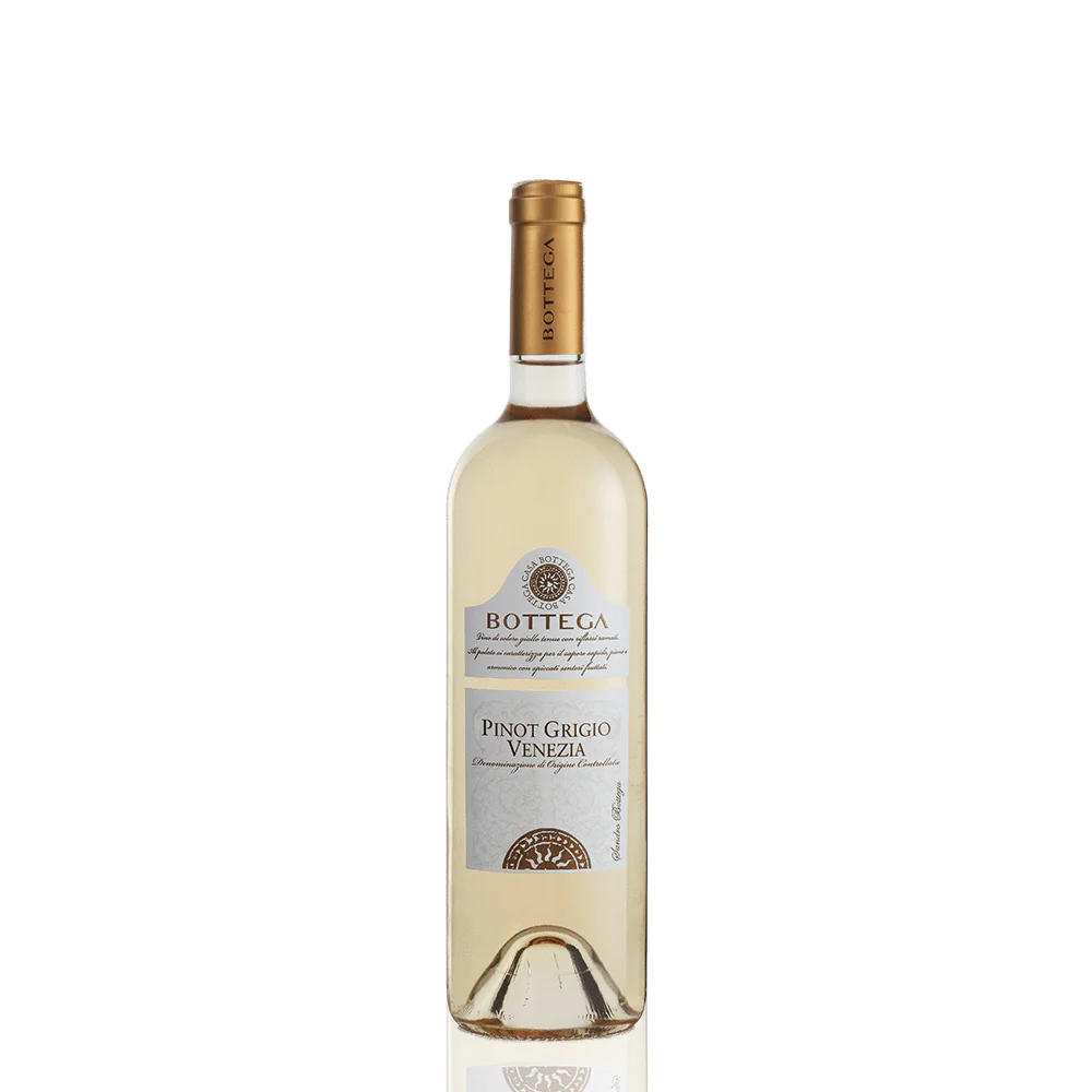 BOTTEGA - Pack de 6 Pinot Grigio Venezia DOC - 12%